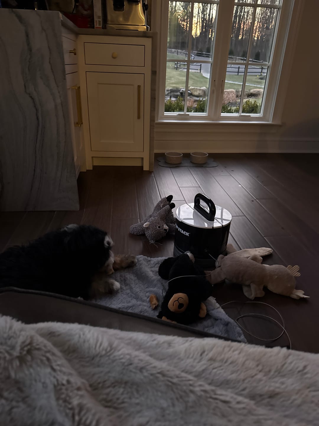 Customer photo review of Pup Stack