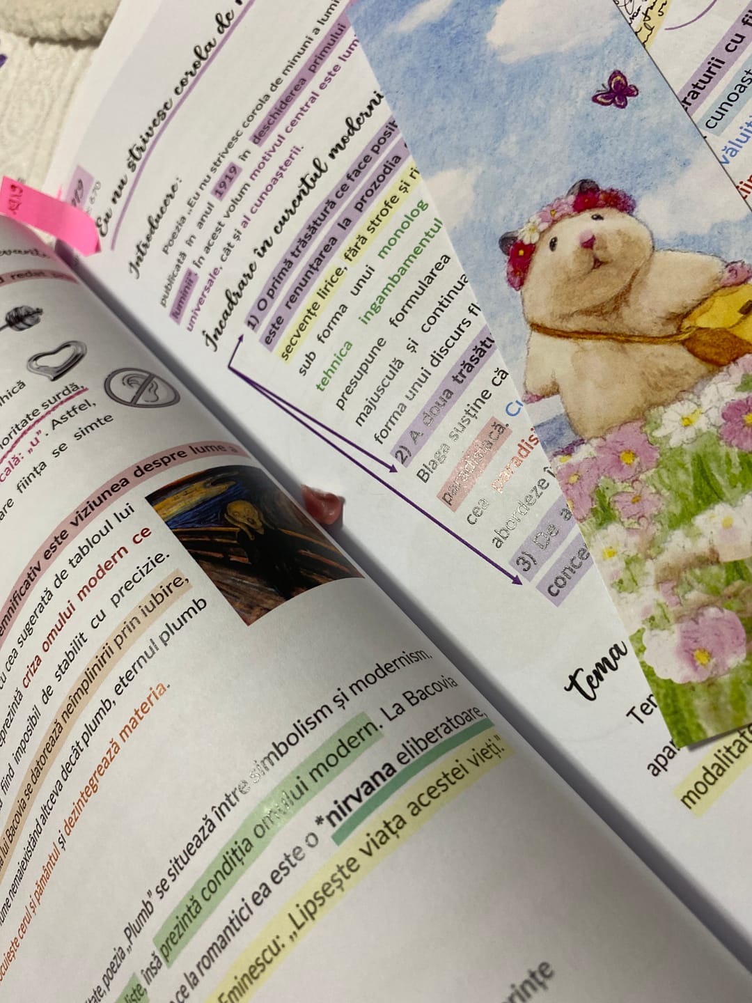 Customer photo review of Pachet Bacalaureat (Română + Anatomie clasele XI-XII) Bacademia