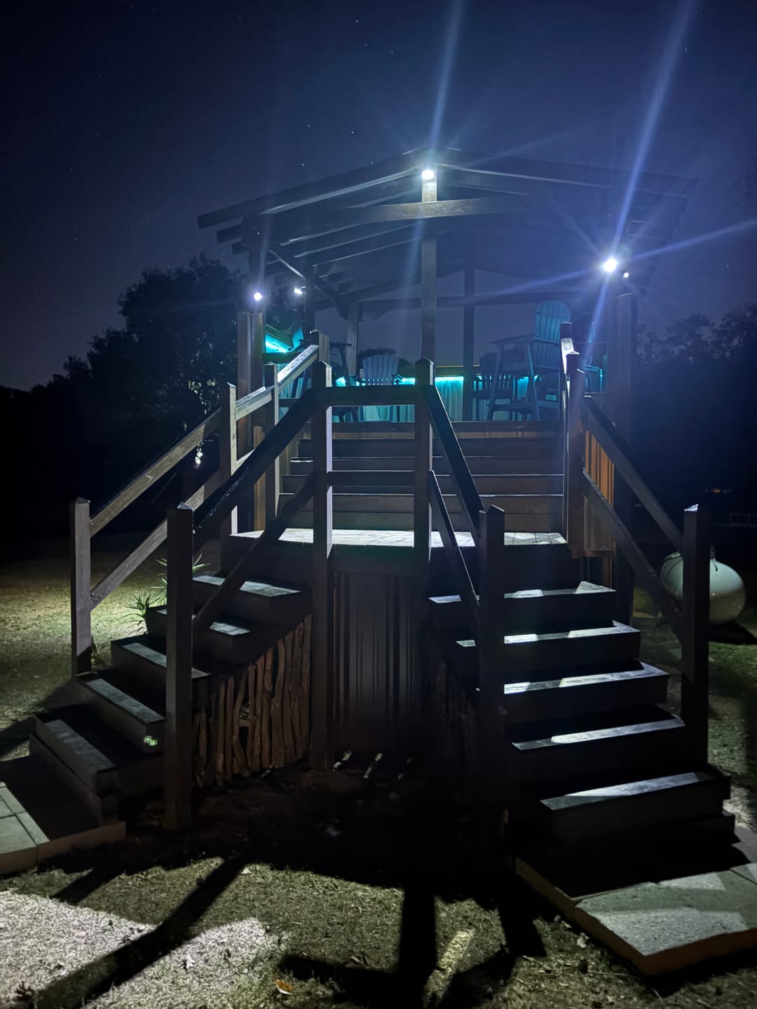 Customer photo review of TSUN Solar Spotlights For Trees Cool White