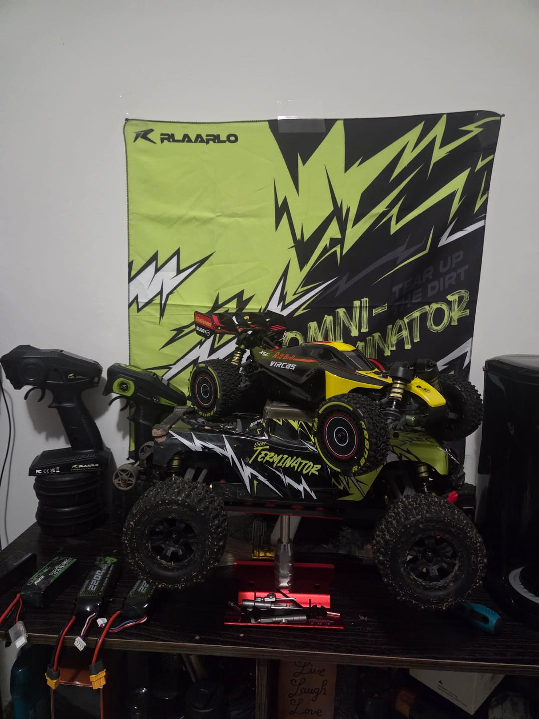 Customer photo review of RC Paddle Tires For RZ001