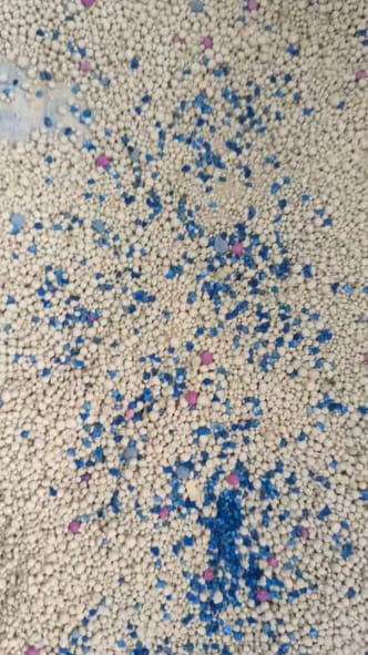 Customer photo review of FreshGuard | Plant-Based & Chemical-Free Odor Elimination