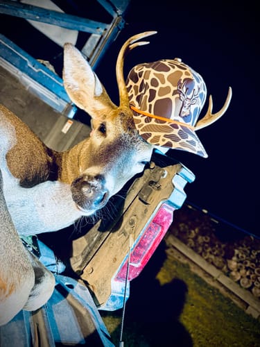 Jana E. review of Hat of the Month Crew | Skip the Line image 1 out of 2