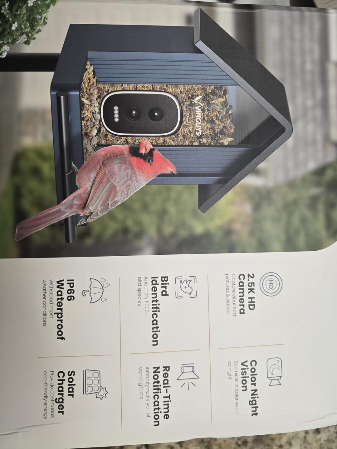 Customer photo review of VINGUYS Smart Bird Feeder with Camera V-Feeder Metal