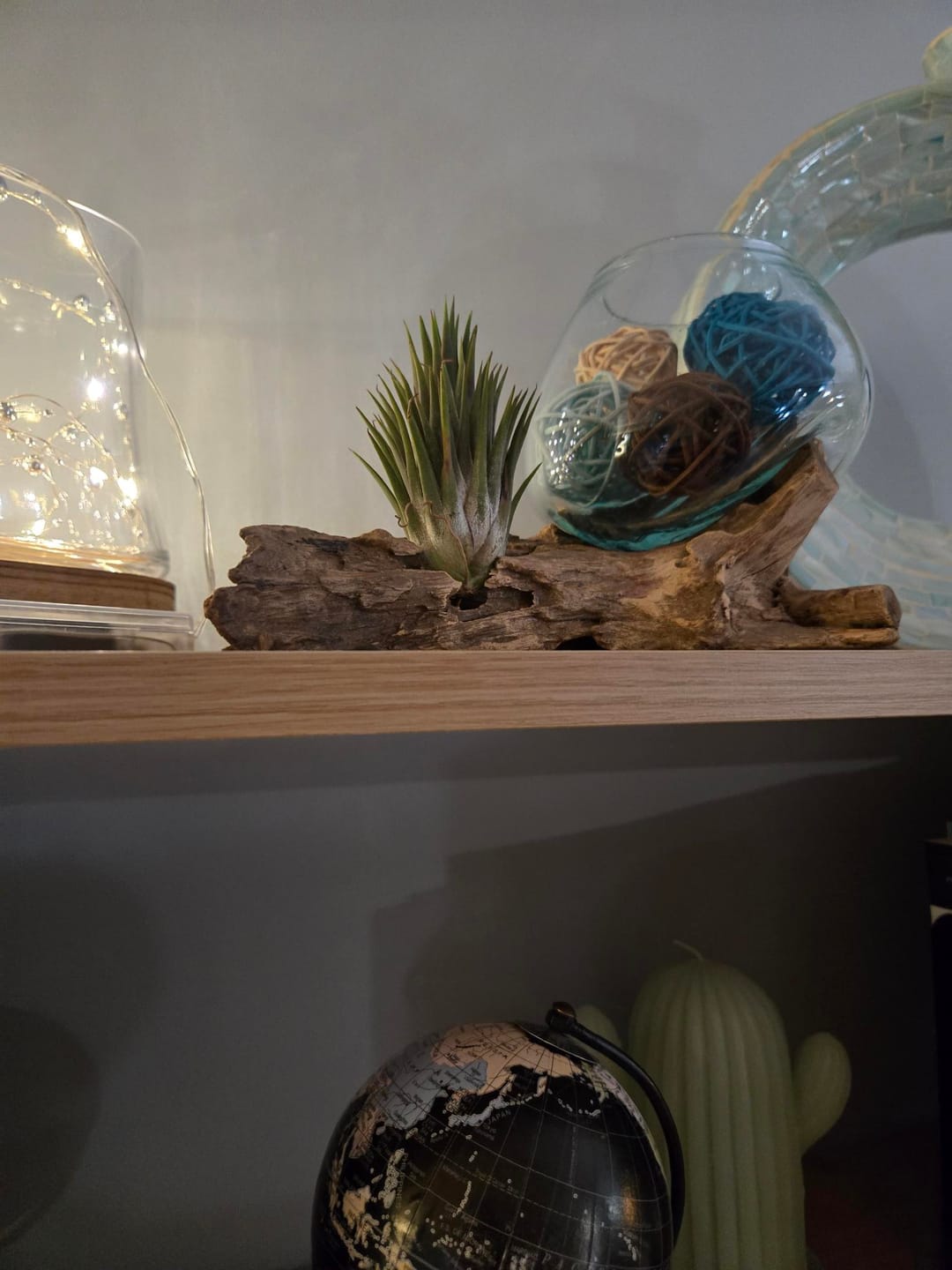 Customer photo review of Ionantha Guatemala