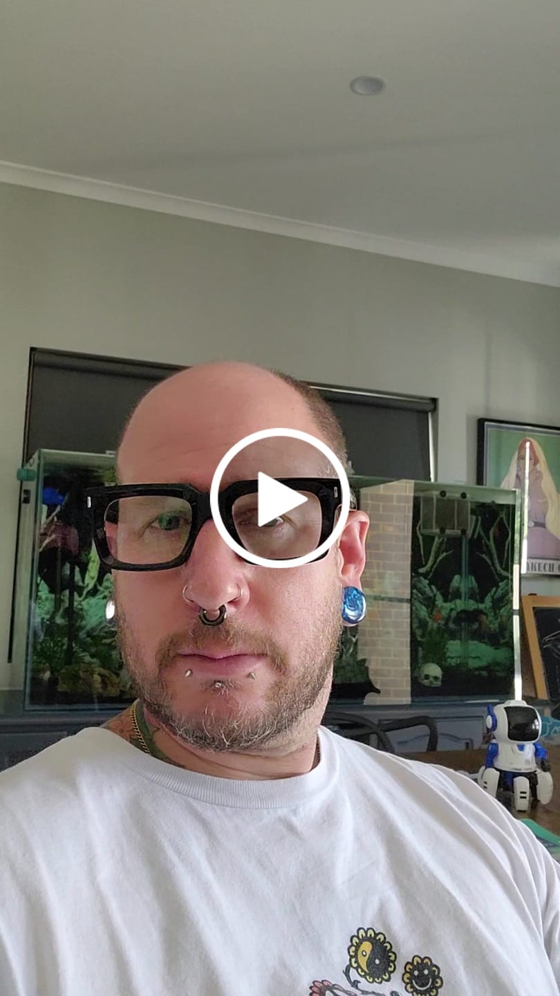 Customer video review of Dashiell O