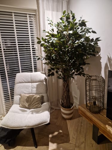 Customer photo review of Ficus Liana Kunstplant 180cm