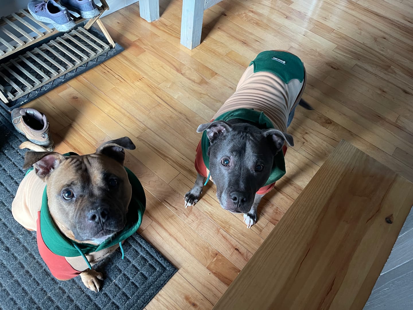 Customer photo review of Ranger Human Hoodie