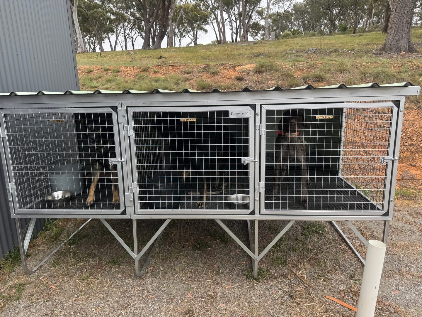 Customer photo review of Raised Safety Kennel
