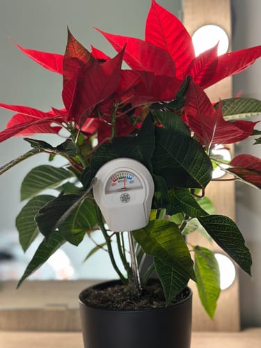 Customer photo review of Soil Moisture Meter