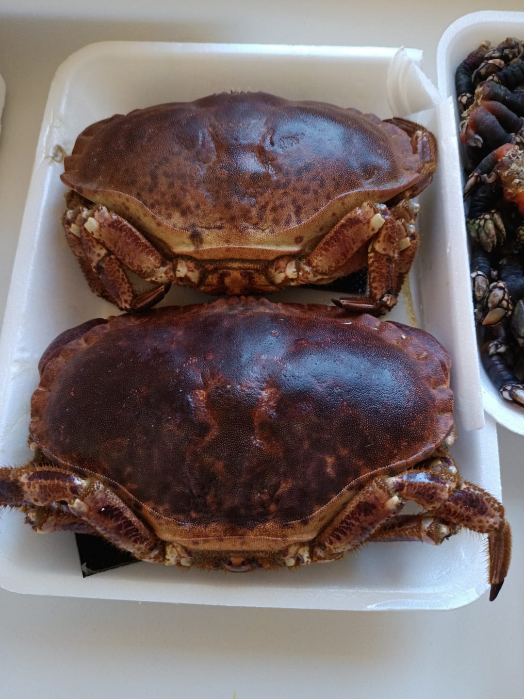 Customer photo review of Buey de mar
