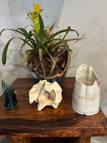 Customer photo review of Rustic Corner Wall Shelves – Natural Live Edge Wood Floating Shelf for Candles and Plants