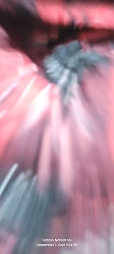 Customer photo review of Shipping Protection by Route