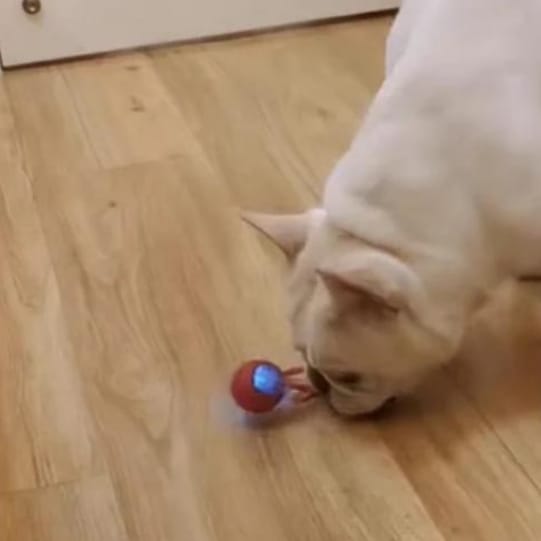 Customer photo review of Pelota interactiva inteligente