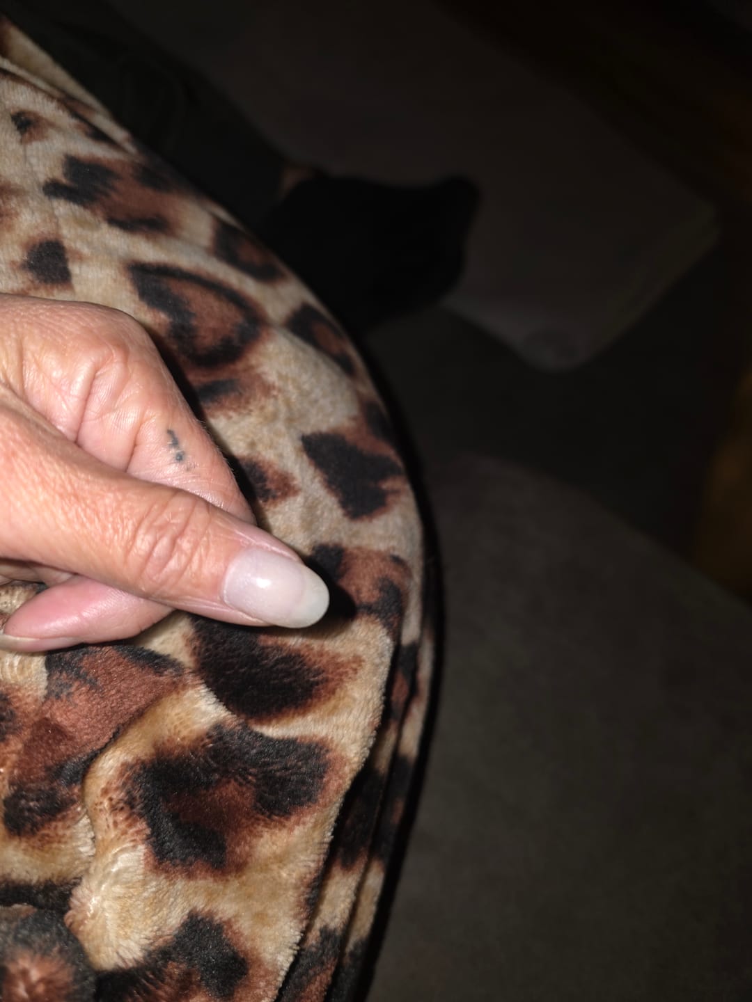 Customer photo review of Crystal Clear Dipping Powder