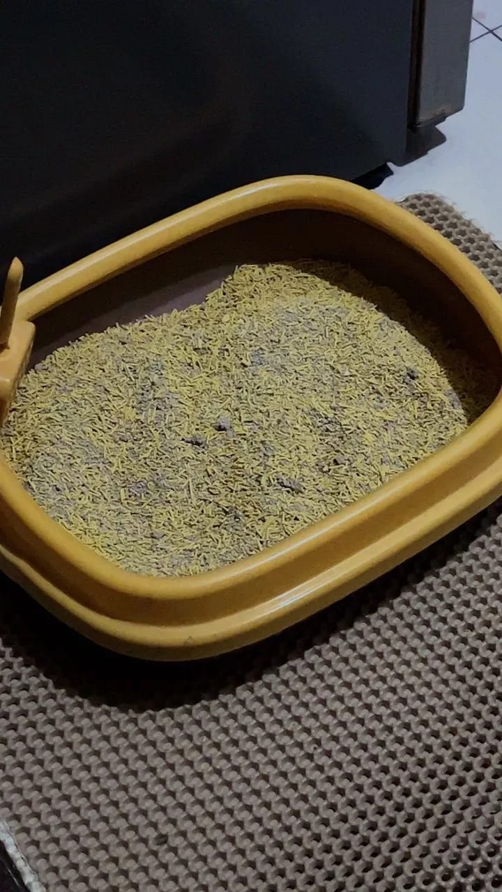 Customer photo review of FreshGuard | Plant-Based & Chemical-Free Odor Elimination