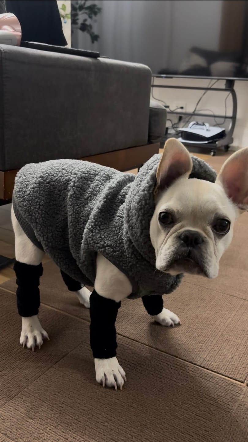 Customer photo review of Stretchy Fleece Dog Leg Warmer Sleeves