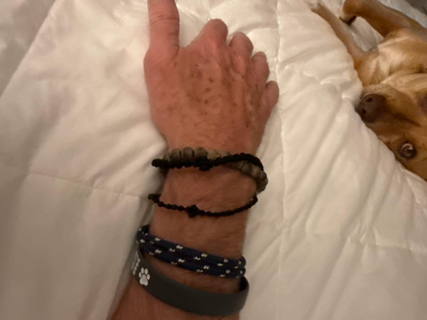 Customer photo review of Paracord Bracelet Magnetic Blue White