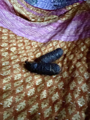 Customer photo review of Mystery Gift