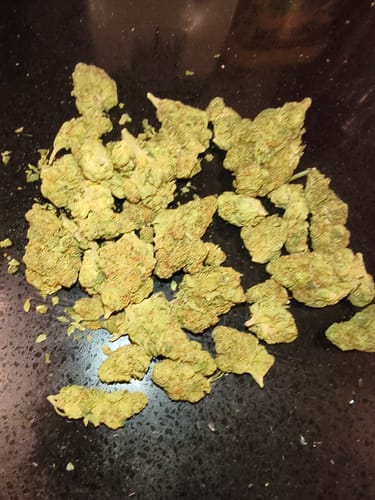 Customer photo review of Gas Face - Bulk - Indica