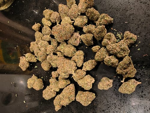 Customer photo review of White Nerds - Bulk - Hybrid