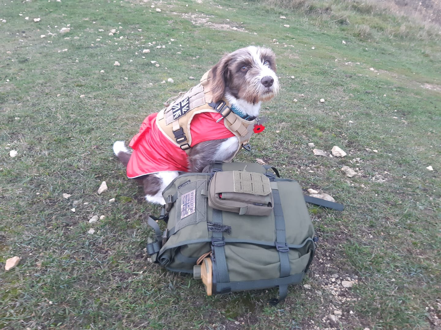 Customer photo review of Kahakka 15L backpack