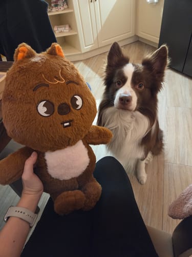 Customer photo review of SKZ Teddybear Plush