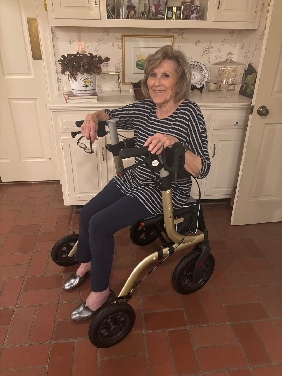 Customer photo review of HFK-9210KDB All Terrain Dual-Brake Rollator Walker 12" Wheels