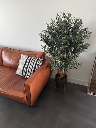 Customer photo review of Kunst Olijfboom 120cm Deluxe