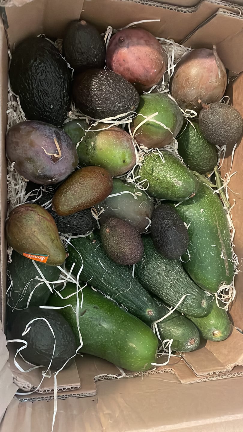 Customer photo review of Mini Mango & Avocado Rettungsaktion