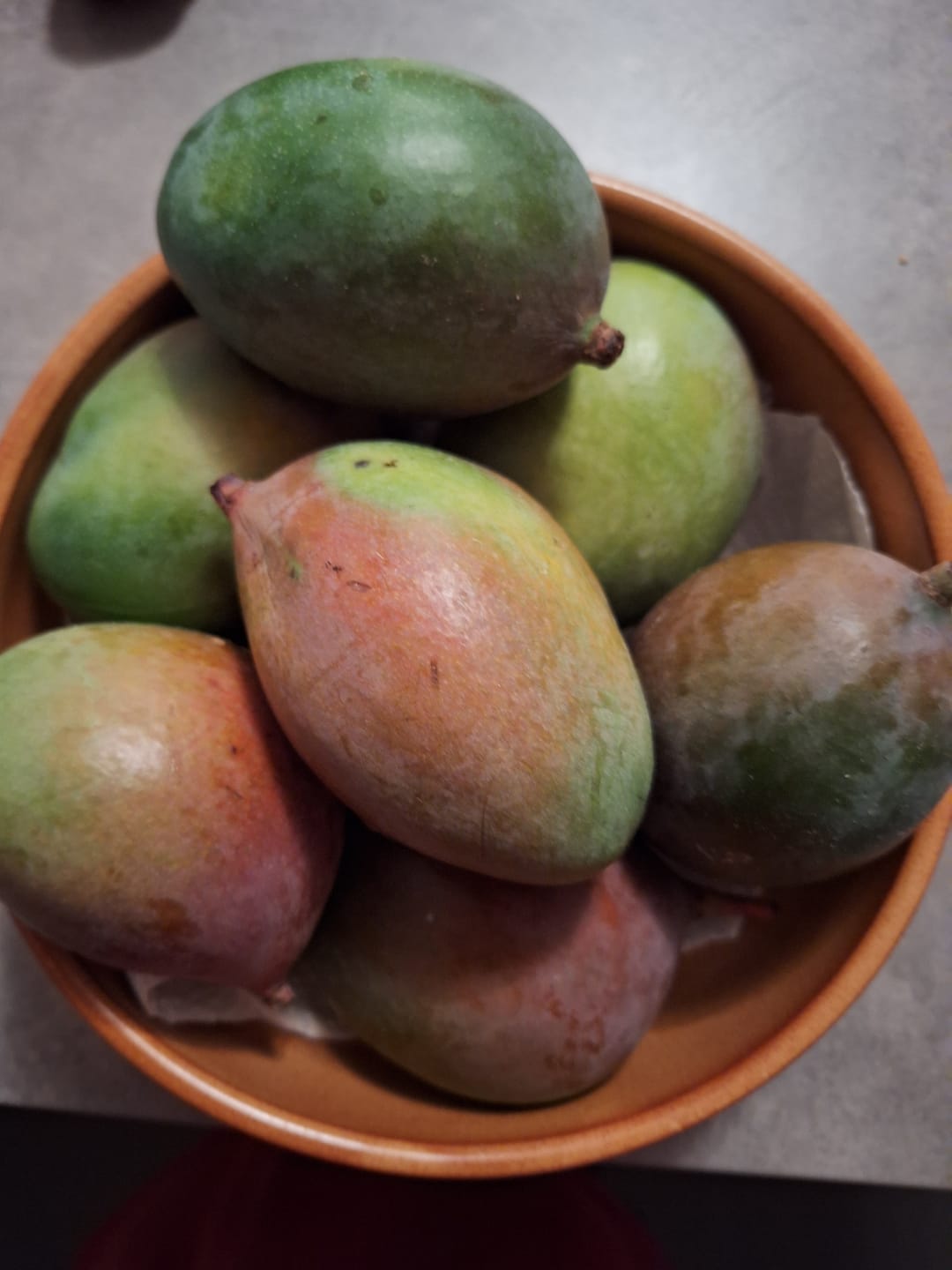 Customer photo review of Mini Mango & Avocado Rettungsaktion