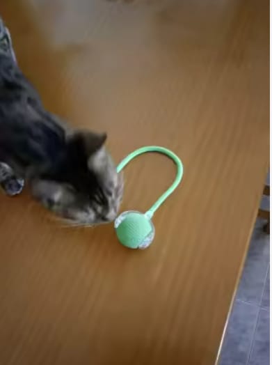 Customer photo review of Pelota interactiva inteligente