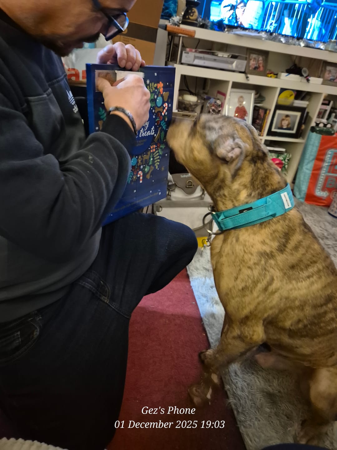 Customer photo review of 5cm Combat® Collar | With Handle & Secure Clip - Turquoise
