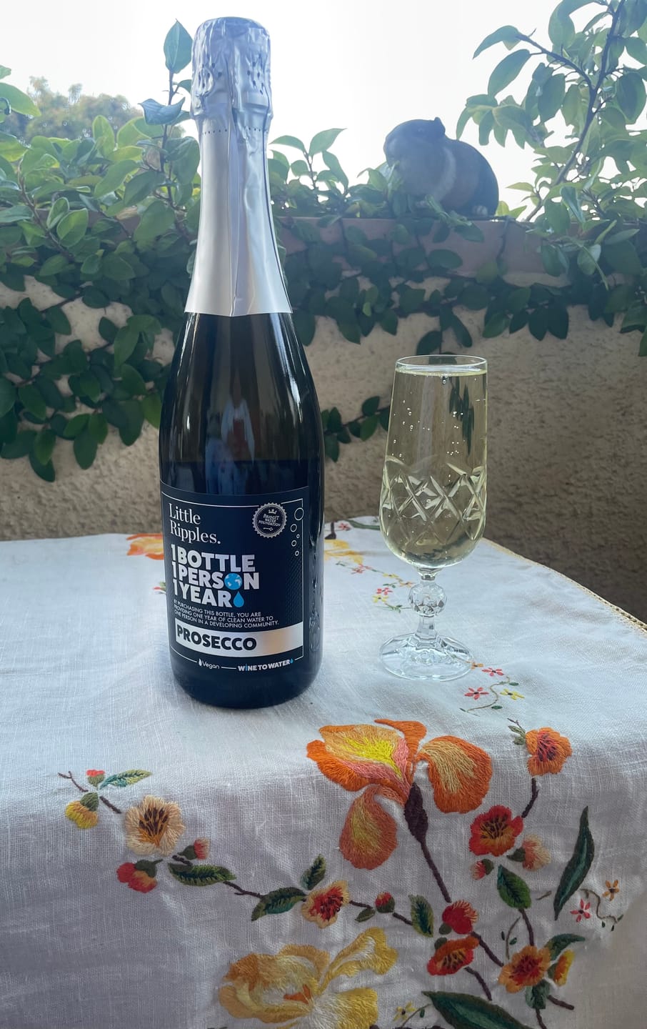 Customer photo review of Prosecco - 6pk