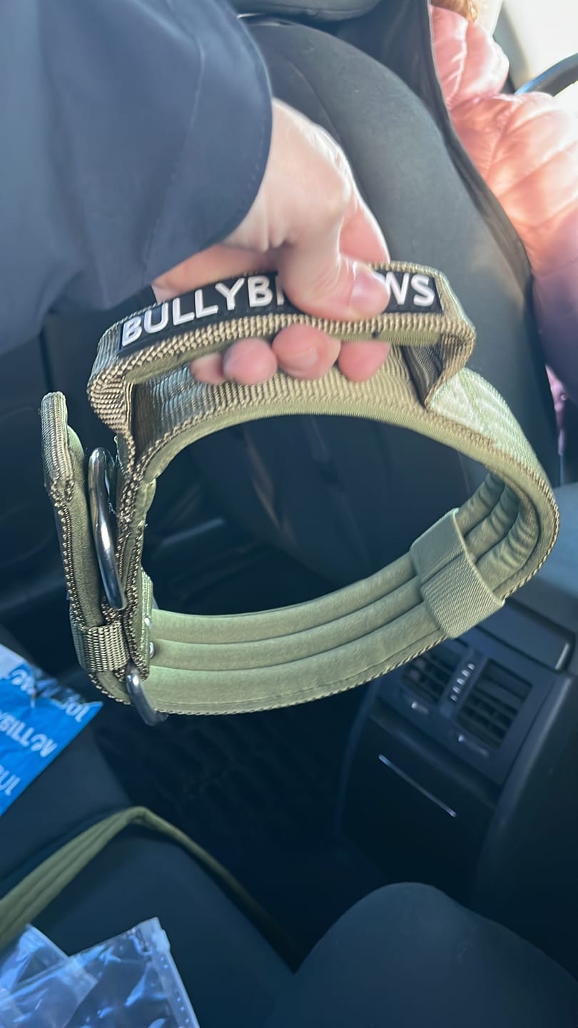 Customer photo review of 5cm Pin Buckle Collar | With Handle - Khaki