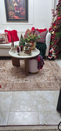 Customer photo review of Sylva Washable Area Rug - Brown
