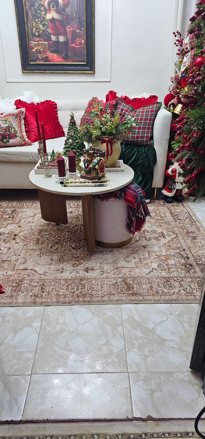 Customer photo review of Sylva Washable Area Rug - Brown