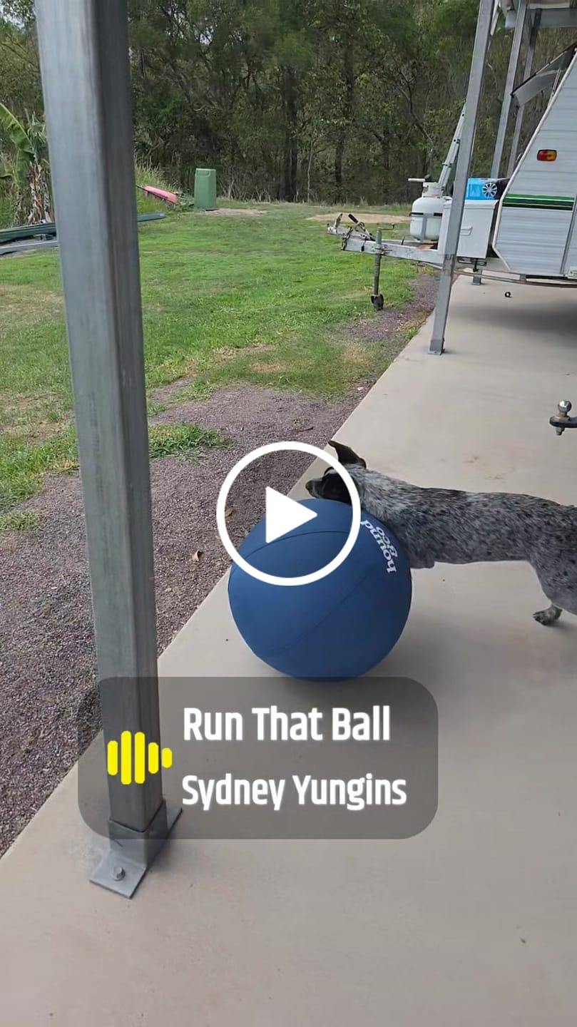 Customer video review of Astro Ball - Medium 2 Pack