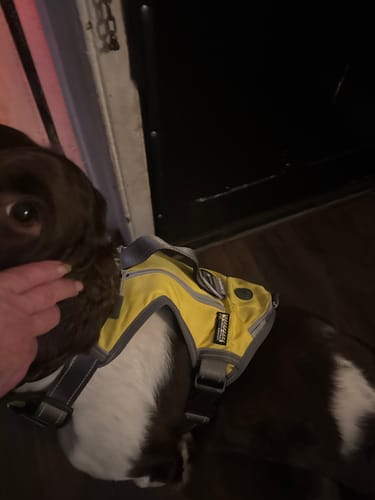 Customer photo review of FIDA No Pull Harness