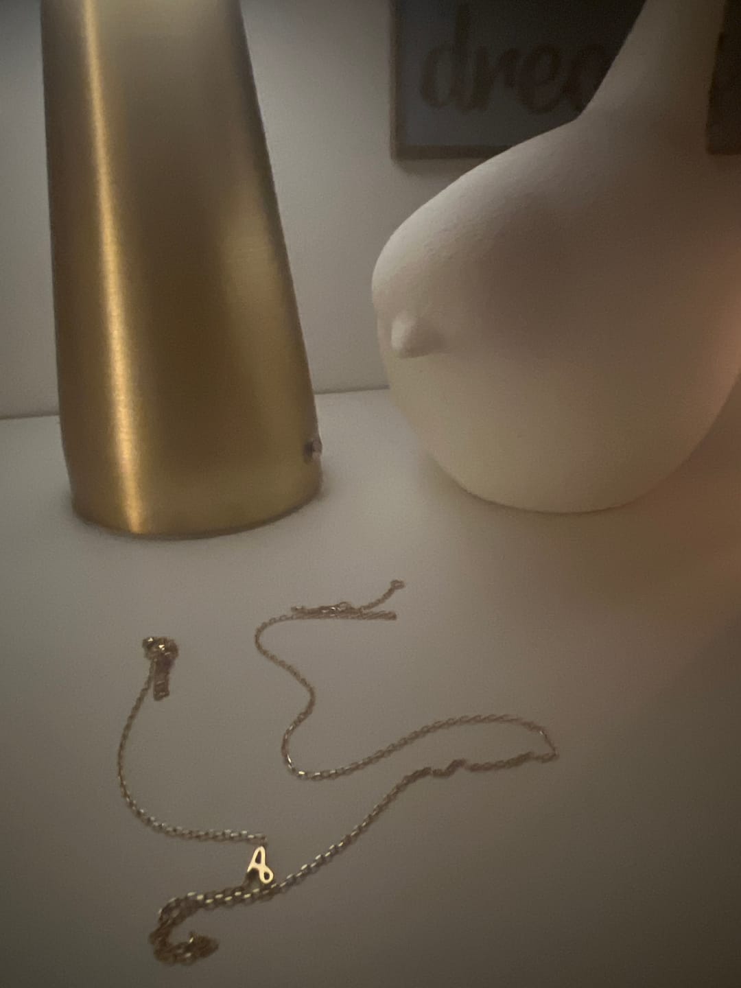 Customer photo review of Initial Chain Necklace