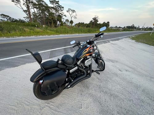 Customer photo review of H-D® Dyna Right Side Solo Bag - DR011