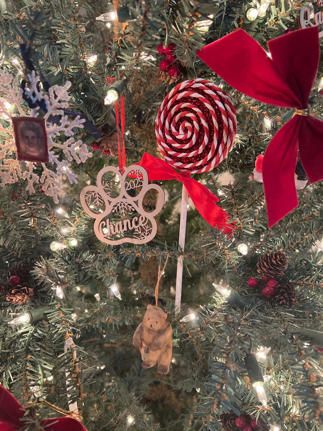 Customer photo review of Personalized Pet Christmas Ornament