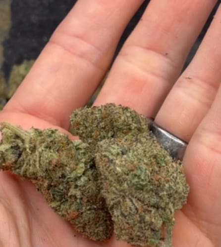 Customer photo review of Jolly Ranchers - Bulk - Indica