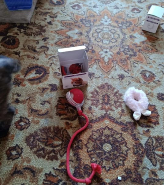 Customer photo review of Pelota interactiva inteligente