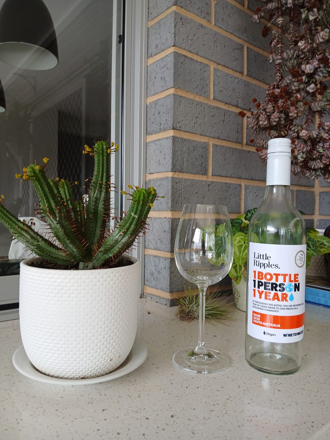 Customer photo review of Shiraz & Rosé - 2 Pack