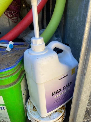 Customer's jug of Max Calm with a pump dispenser, sitting on a bucket in a tack room.
