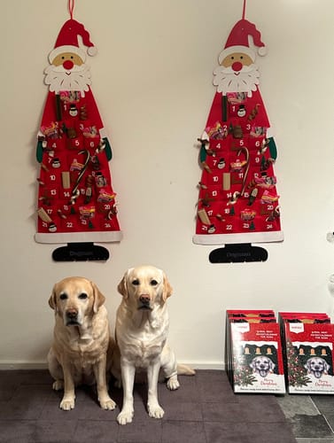 Anmelderens to labradorer sidder foran deres Dogman-julekalender kasser og to stofkalendere.