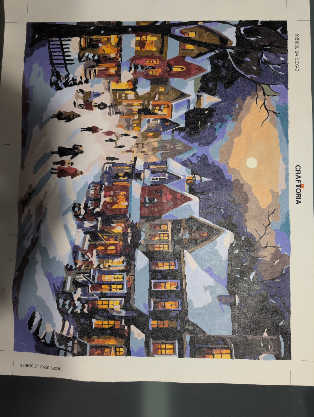 Customer photo review of Snowy Christmas Village