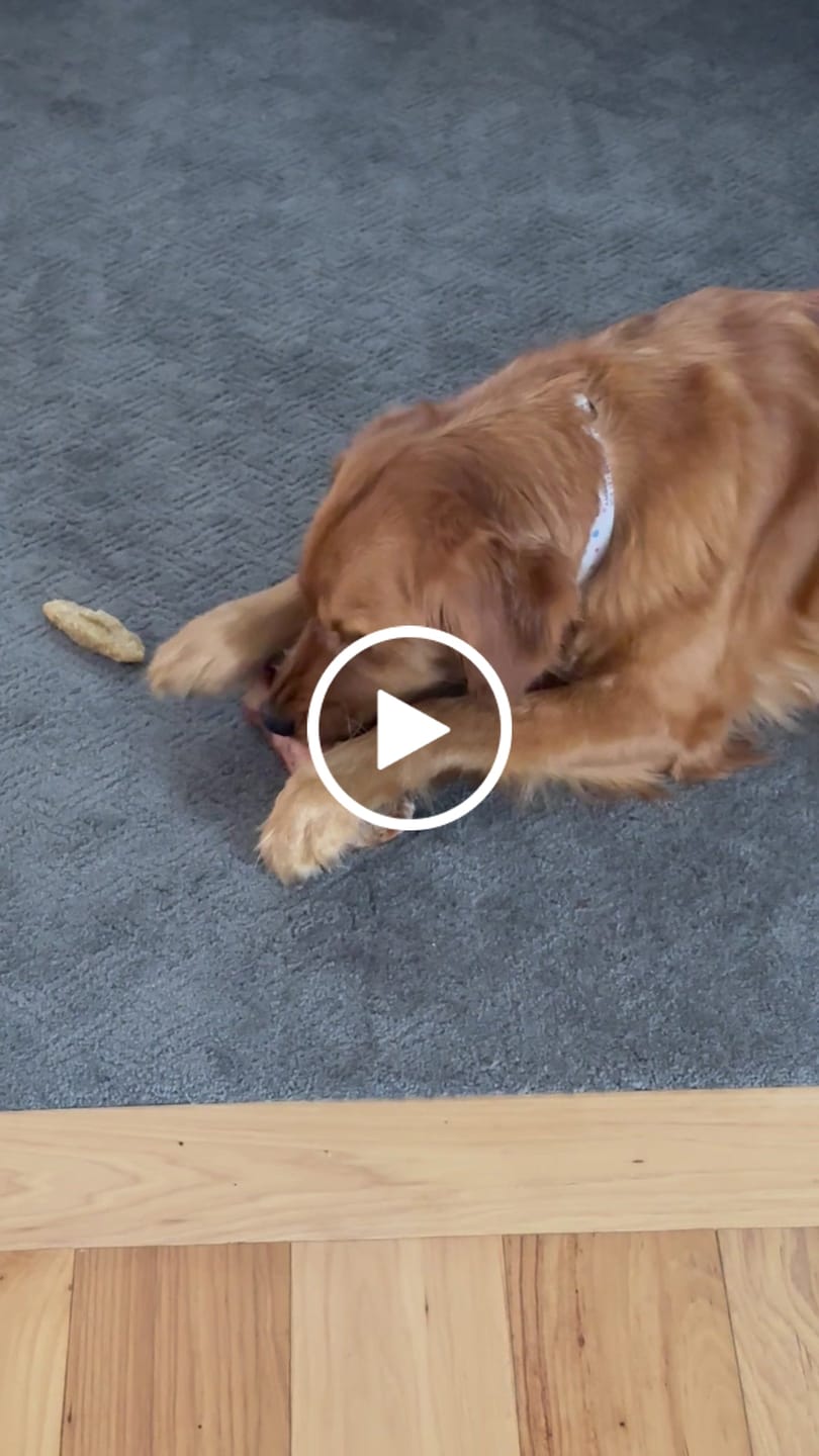 Customer video review of Beef Cheek Sticks