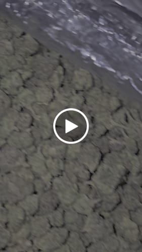 Matthew D. review of Shipping Protection by Route image 1 out of 1