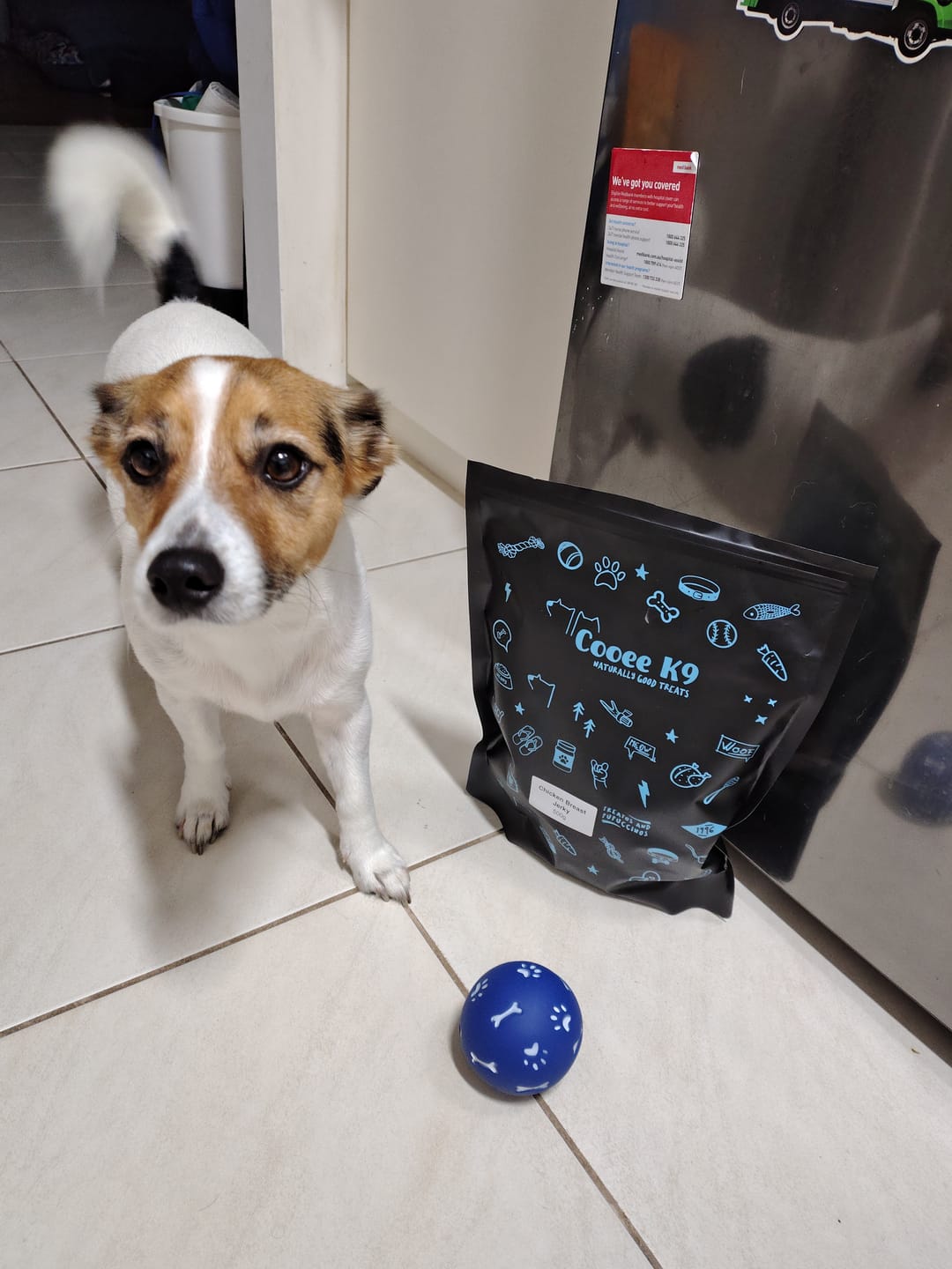 Customer photo review of Chicken Breast Jerky